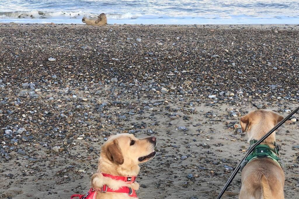 Dog Friendly Cottage 2 Mins To Beach With Hot Tub And Zappi Ev Lessingham Экстерьер фото