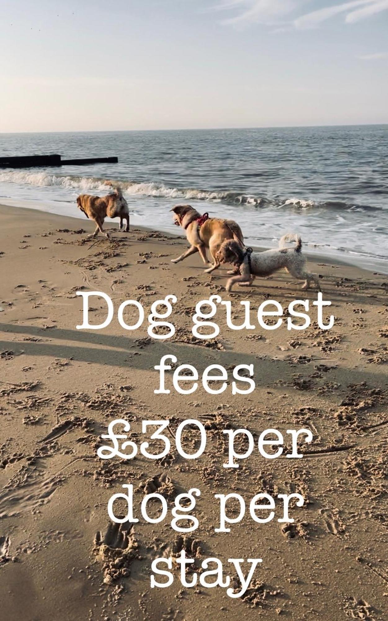 Dog Friendly Cottage 2 Mins To Beach With Hot Tub And Zappi Ev Lessingham Экстерьер фото